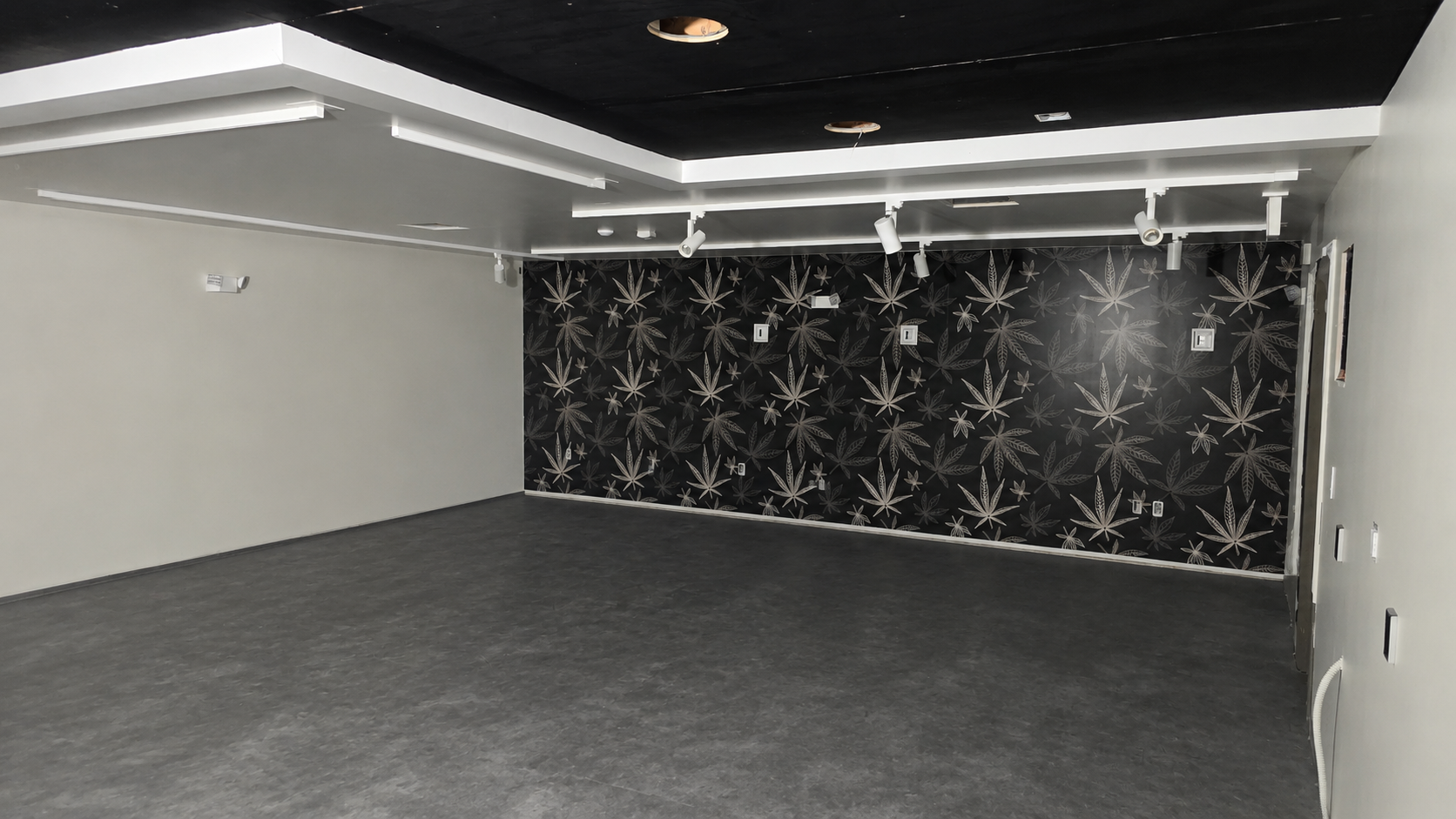 Minnesota Cannabis Company dispensary progress